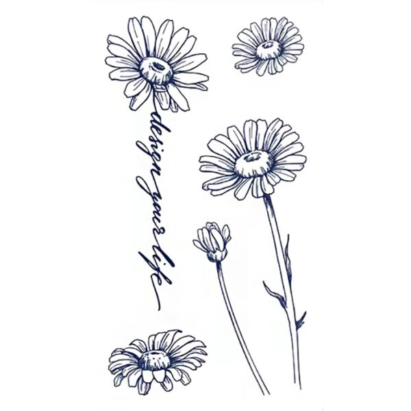 Margeritenmomente – Bild 2